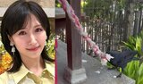 【 横山ルリカ 】神社で“カラスの驚きの行動”を目撃「 なんとカラスが鈴を鳴らしていました」|TBS NEWS DIG
