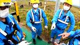 「アレ」から電気を守れ!密着!危険と隣り合わせの作業 私たちの暮らしを守る意外な工夫も(山形) | 山形のニュース│TUYテレビユー山形