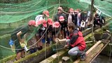 生命の神秘に触れ大切さを学ぶ　小学生がヤマメの採卵と人工授精を見学|TBS NEWS DIG