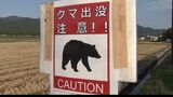 クマに襲われないための注意点 山に入る前はしっかり準備を | 新潟のニュース・天気|BSN NEWS|BSN新潟放送