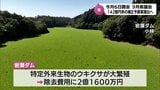総額142億円余りの一般会計補正予算案　宮崎県は9月県議会に提案へ|TBS NEWS DIG