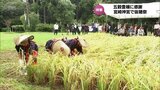 五穀豊穣に感謝 宮崎神宮で抜穂祭|TBS NEWS DIG