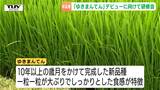 県産米の新品種「ゆきまんてん」 来年のデビューに向け、米農家などが研修会に参加 生育方法や管理のポイントを共有(山形) | 山形のニュース│TUYテレビユー山形