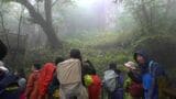「神秘的」屋久島・縄文杉を目指し300人が登山 あす3日がピークに 鹿児島 | 鹿児島のニュース|MBC NEWS|南日本放送