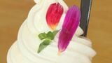 猛暑を癒す“絶品”ご当地ソフト 「かき氷×花」の個性派スイーツや糖度抜群「丸ごとスイートコーン」も | 大分のニュース|OBS NEWS|大分放送