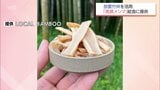 放置竹林を活用「高鍋メンマ」　町内の2つの小学校の給食で提供|TBS NEWS DIG