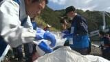 知事「プラスチック系の処理困難なものが大量」 海洋ゴミの効率的な処理法を探る実証実験 愛媛 | 愛媛のニュース - Nスタえひめ|あいテレビは6チャンネル