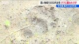 買い物帰りにクマに襲われ馬乗りになってもみ合いに…50代女性けが 県内9件目の人身被害 新潟・阿賀町|TBS NEWS DIG