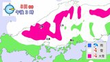 【警報級の大雪か】8日(日)広島県内にJPCZ一部流入し普段雪の少ない南部の平地でも積雪のおそれ 山陽道・中国道・広島道など予防的通行止め【雪と雨のシミュレーション】|TBS NEWS DIG