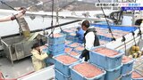 「三陸沖の春の風物詩」イサダ漁 山林火災の影響を強く受けた大船渡市三陸町綾里の船が初水揚げ 岩手 | IBC NEWS | IBC岩手放送