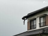 静岡県藤枝市の住宅の屋根が焼ける火事落雷の影響か 県内には「線状降水帯半日前予測」が発表　|　静岡のニュース | SBSNEWS | 静岡放送
