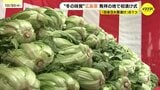 日本三大菜漬けの一つ「広島菜」の初漬け式　例年以上の豊作見込み　広島　|　RCC NEWS | 広島ニュース | RCC中国放送