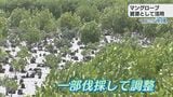 湿地はなぜ守らないといけないのか?つなごう沖縄 漫湖水鳥・湿地センター|TBS NEWS DIG