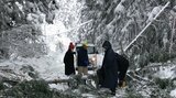 大雪の影響で木が倒れ193世帯孤立【新潟・村上市】(午前10時半現在)|TBS NEWS DIG