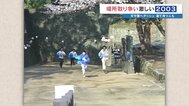 熊本城で桜満開！穏やかな花見風景 「昔はすごかった…」早朝4時から並んで難攻不落の城を駆け上がった場所取り合戦？　|　熊本のニュース｜RKK NEWS｜RKK熊本放送