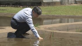 天皇陛下が皇居で「お田植え」|TBS NEWS DIG