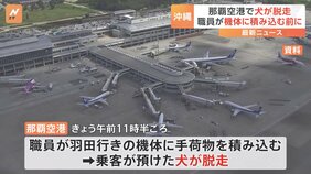 那覇空港で乗客が預けた犬が脱走　滑走路が運用停止となるトラブル 7便で最大13分の遅れ|TBS NEWS DIG
