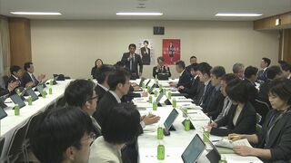 自民・デジタル社会推進本部がAIに関する提言案　悪質事業者に“罰則含めた対策検討”| TBS CROSS DIG with Bloomberg