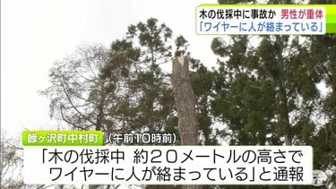 速報・追記あり】「木の伐採中、20mくらいの高さでワイヤーに人が