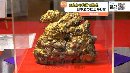 モンスターゴールド”産出の坑道で貯蔵「オール気仙沼」の日本酒204本