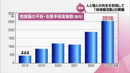 ただ文句をいうわけではなく、もっと優しく見守っていただけたら」人と