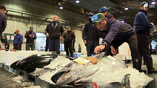 「赤身も脂も抜群にいい」一番マグロは約98万円！ 浜松市中央卸売市場で「初競り」 =静岡|TBS NEWS DIG