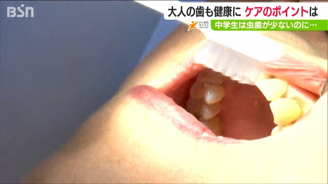 中学1年生は0.1本で“全国最少”なのに60歳になると“全国平均以下”『虫歯ゼロ』を守り抜くためには？　|　新潟のニュース・天気｜BSN NEWS｜BSN新潟放送