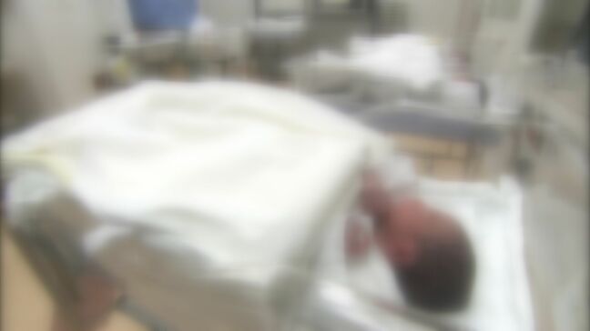 大分県内の出生数は5666人、15年連続で過去最少を更新 婚姻件数は全国2番目の増加率|TBS NEWS DIG