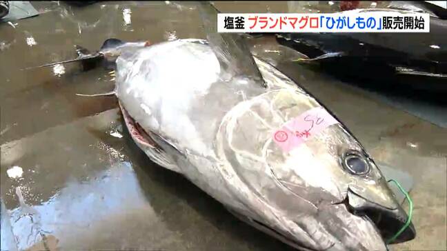 塩釜市が誇る「日本一おいしい」マグロ!「ひがしもの」の販売が3日から始まる 宮城・塩釜市|TBS NEWS DIG