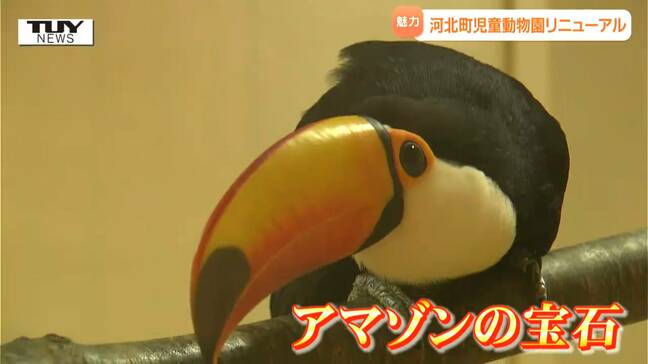 県内唯一の動物園（無料）がリニューアル！東北でここだけの鳥も！「かほくまなび館　ずーいく」に迫る（山形・河北町）|TBS NEWS DIG