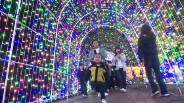 約４５万球のLEDが庭園彩る 長さ３００メートル「光のトンネル」も  タオル美術館　イルミネーション点灯式|TBS NEWS DIG