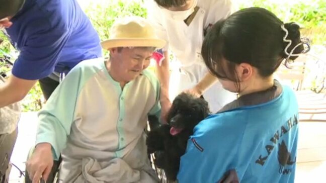 「かわいいという思いばかりで、すごい癒された」患者が犬や猫と触れ合い 動物ふれあいフェスタ 愛媛県・松山市|TBS NEWS DIG