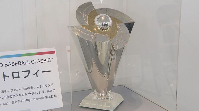 大谷翔平選手の指紋が見える!? ＷBC優勝トロフィーがバンテリンドームナゴヤに 髙橋宏斗投手着用のユニフォームと展示 初日は行列|TBS NEWS DIG