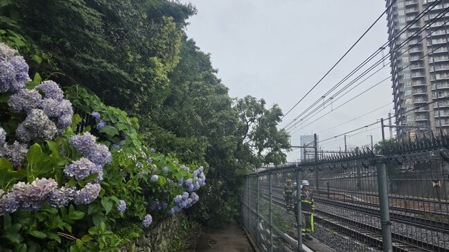 【速報】倒木が走行中の電車に接触　一時運転見合わせの湘南新宿ラインが午後7時05分に運転再開　JR東日本|TBS NEWS DIG