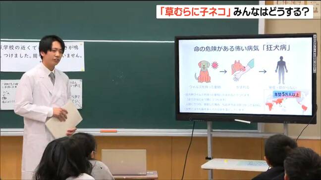 「雨の日、草むらに子ネコ2匹を発見、どうする？」獣医師による "動物の命" 考える 出前授業　宮城・白石市|TBS NEWS DIG