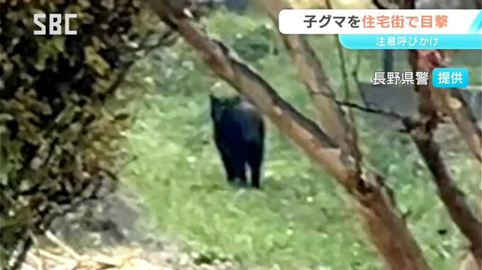 松本市でクマの目撃情報　周辺の保育園や小中学校では屋外の活動を中止に　長野　|　SBC NEWS | 長野のニュース | SBC信越放送