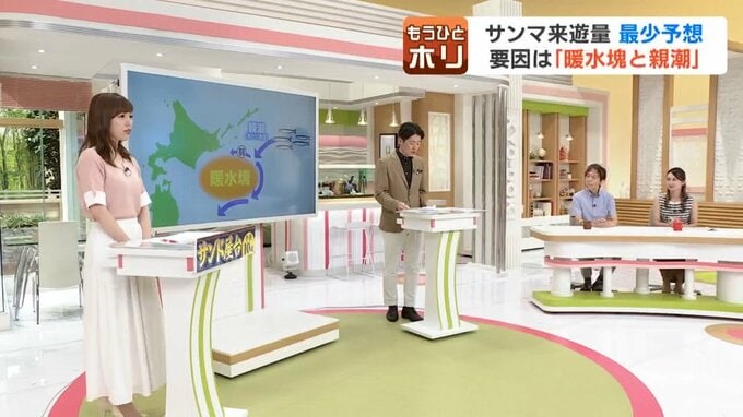 スタジオで小ぶりなサンマについて伝える堀啓知キャスター