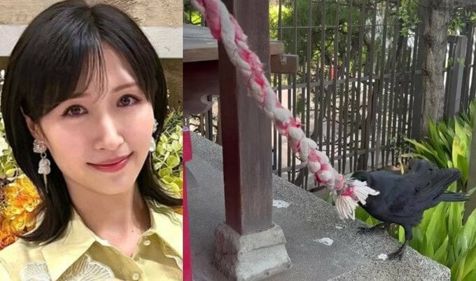 【 横山ルリカ 】神社で“カラスの驚きの行動”を目撃「 なんとカラスが鈴を鳴らしていました」|TBS NEWS DIG
