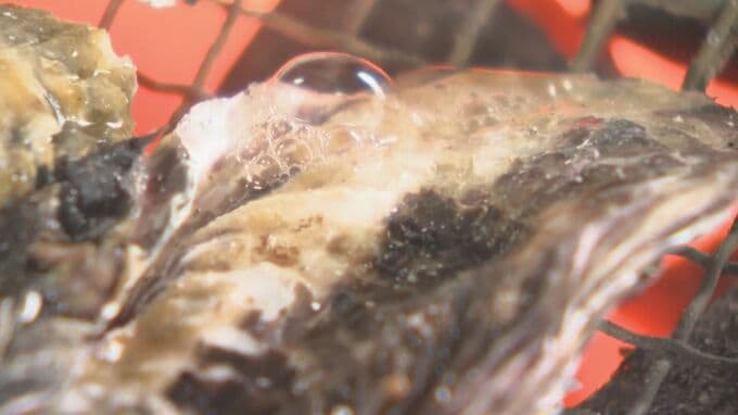 旬の海の幸「能登かき」 おまたせ! 石川・七尾市の浜焼き店が営業再開　|　石川県のニュース｜MRO北陸放送
