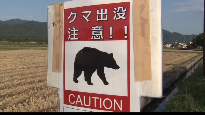 クマに襲われないための注意点 山に入る前はしっかり準備を　|　新潟のニュース・天気｜BSN NEWS｜BSN新潟放送