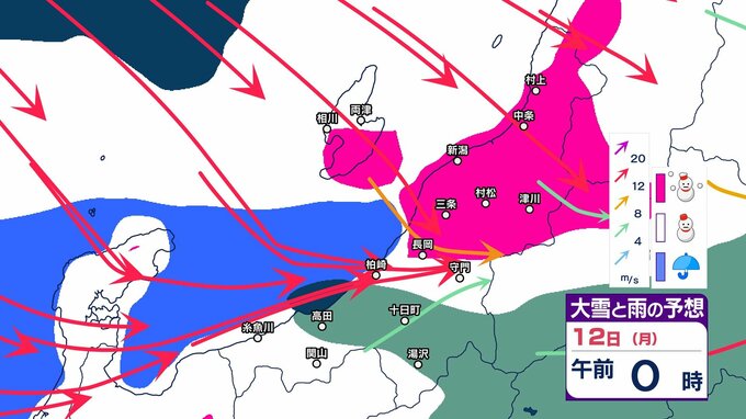 【 新潟の雪は？ 】あす9日朝までに上越・中越の山沿いで最大60センチの降雪か　10日頃から大荒れや大雪の恐れ【13日までの雪と風のシミュレーション・8日午後4時更新】　|　新潟のニュース・天気｜BSN NEWS｜BSN新潟放送