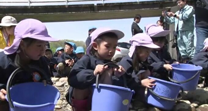 アユの稚魚放流通じて環境保全学ぶ 園児が浅野川で5000匹を放流 金沢市　|　石川県のニュース｜MRO北陸放送