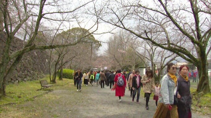 「福岡城さくらまつり」４年ぶり通常開催…グルメ屋台・夜間ライトアップも　３月２４日から　|　福岡のニュース｜RKB NEWS｜RKB毎日放送