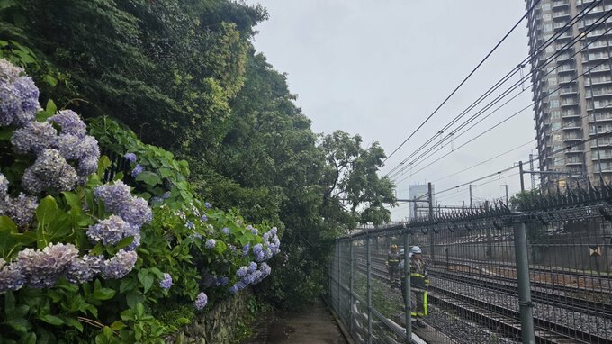 【速報】倒木が走行中の電車に接触　湘南新宿ラインが一部区間で運転見合わせ　再開見込みは午後6時50分ごろ　JR東日本|TBS NEWS DIG