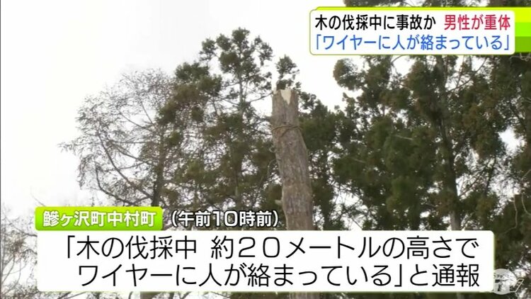 森の伐採。直径2メートル以下約70万円現金あげます。 激怒しかありません」宮崎で相次ぐ山林無断伐採の実態 ー被害者の悲痛