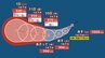 【台風情報】 最大瞬間風速 65 m/s予想...台風のたまご「熱帯低気圧」が発生、台風に発達する見込み...今後の進路は？8月6日（木）にかけて雨・風シミュレーション＆全国各都市の天気予報【気象庁27日最新】|TBS NEWS DIG