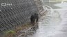 クマ目撃情報「道路を歩いているクマが…」浜松市浜名区で住民から市に連絡 猟友会などが警戒＝浜松市浜名区　|　静岡のニュース | SBSNEWS | 静岡放送