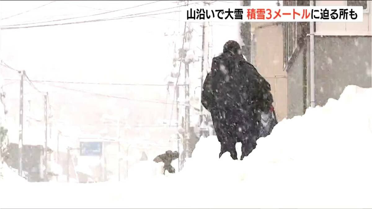 24-25最終出品　値上げ前　雪板13 1650 24-25最終出品 値上げ前 雪板13 1650 24-25最終出品 値上げ前