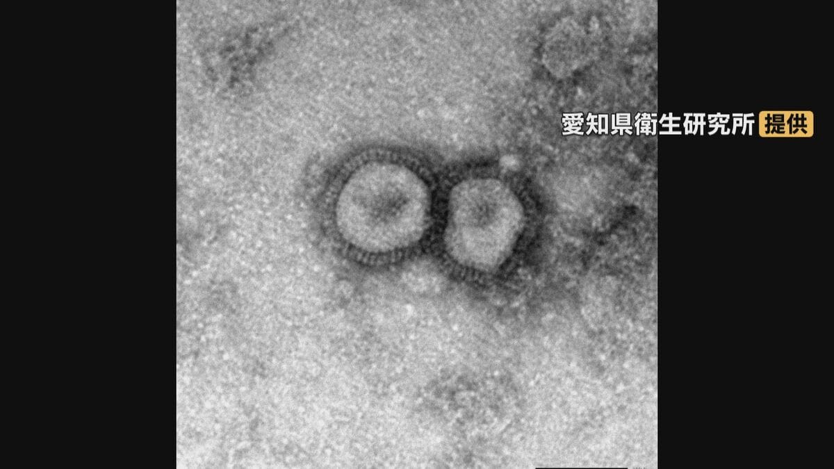 愛知県に｢インフルエンザ注意報｣ 2009年と並ぶ早さ 医療機関の平均患者数は15.12人に 89の学校や保育園で学級閉鎖