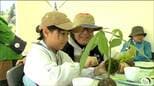 苔玉作りや寄せ植えの体験も　「新緑祭」にぎわう　仙台|TBS NEWS DIG